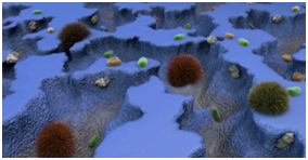 1554864674400901.jpg 2.jpg