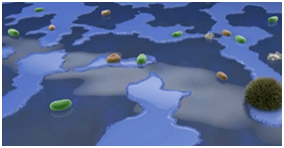 1554864678285134.jpg 3.jpg